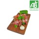 Brochette de porc Bio